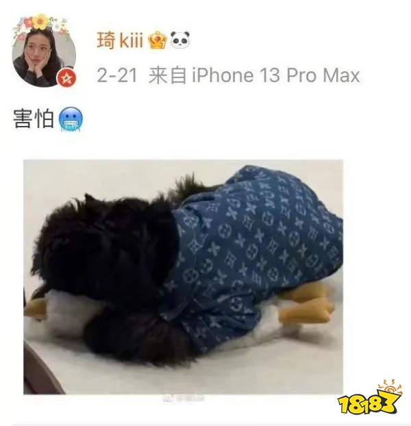 新时代的“耶路撒冷”?我被苏联的“电子魅魔”刷屏了