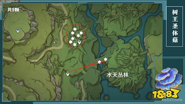原神树王圣体菇全采集图示位置一览 树王圣体菇采集路线图大全