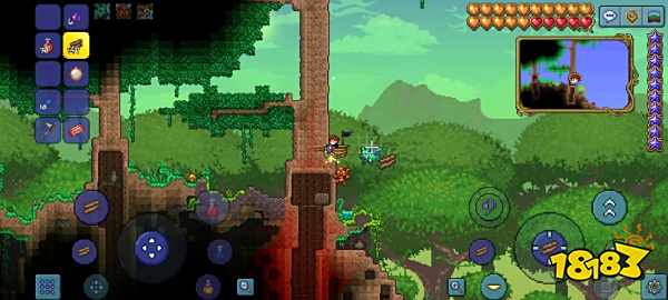 泰拉瑞亚仙灵有哪些作用 仙灵的获取方法