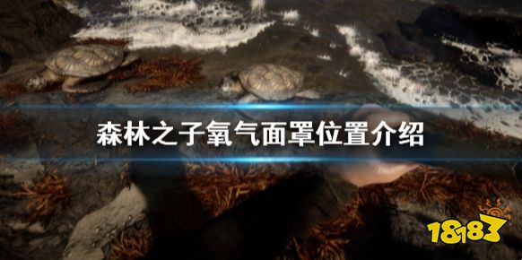 森林之子氧气面罩在哪里 SonsOfTheForest氧气面罩位置介绍