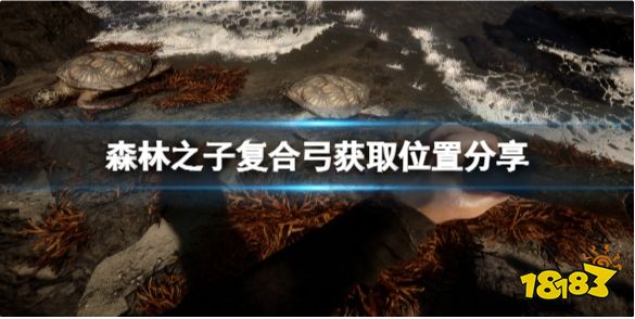 森林之子复合弓在哪 森林之子复合弓获取位置分享