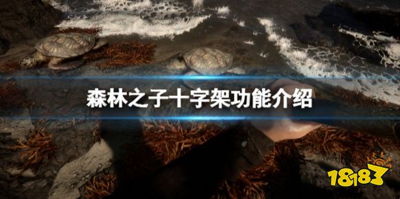 森林之子十字架有什么用 十字架功能介绍