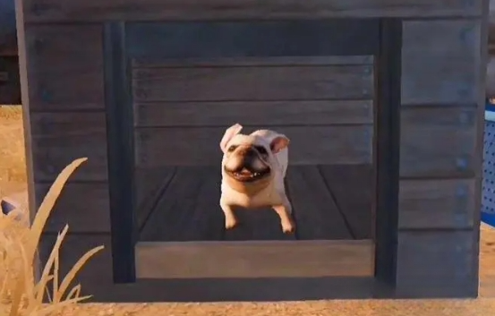 黎明觉醒怎么获取宠物 宠物获取方法分享