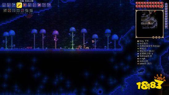 泰拉瑞亚npc最佳分配方案是什么 npc高幸福度最佳分配攻略