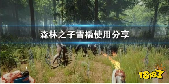 森林之子雪橇使用分享 SonsOfTheForest雪橇怎么使用