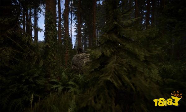 森林之子紫色感叹号有什么 SonsOfTheForest森林2紫色标记一览