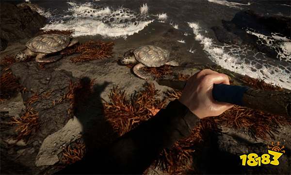 森林之子b队在哪 SonsOfTheForestb队成员位置详解