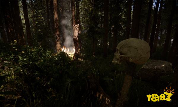 森林之子vip卡在哪里 SonsOfTheForestvip房卡位置及用法