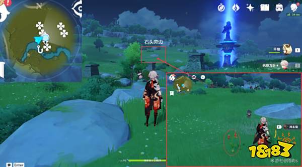 原神风车菊采集地点大全 风车菊采集分布图详细介绍