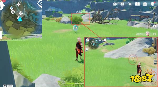 原神风车菊采集地点大全 风车菊采集分布图详细介绍