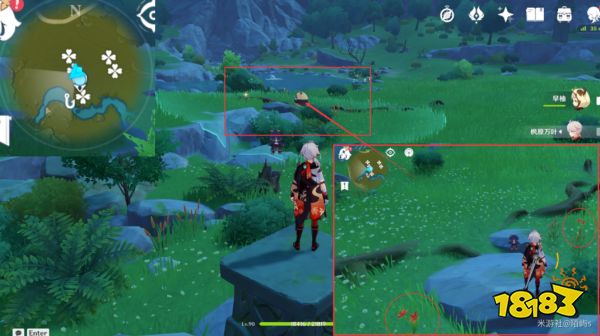 原神风车菊采集地点大全 风车菊采集分布图详细介绍