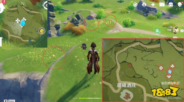 原神风车菊采集地点大全 风车菊采集分布图详细介绍