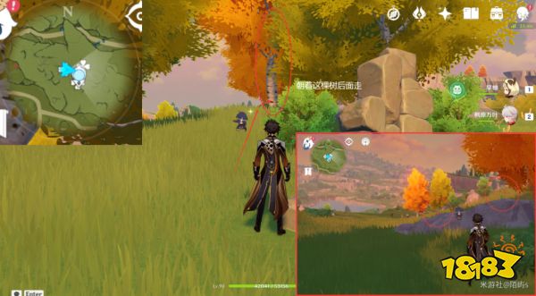 原神风车菊采集地点大全 风车菊采集分布图详细介绍