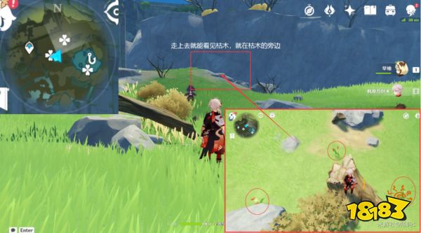 原神风车菊采集地点大全 风车菊采集分布图详细介绍