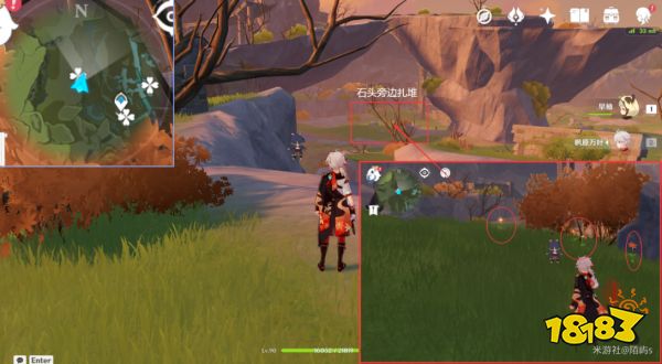 原神风车菊采集地点大全 风车菊采集分布图详细介绍