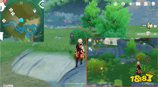 原神风车菊采集地点大全 风车菊采集分布图详细介绍