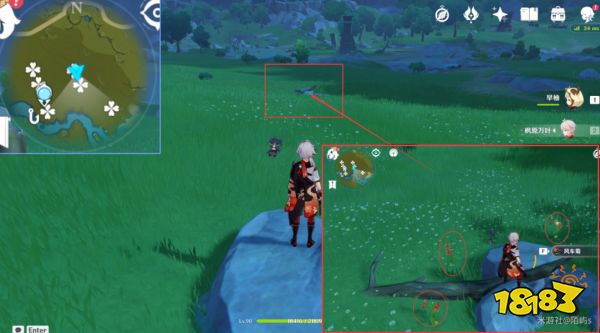 原神风车菊采集地点大全 风车菊采集分布图详细介绍