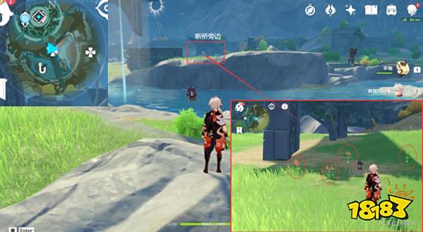 原神风车菊采集地点大全 风车菊采集分布图详细介绍