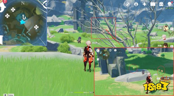 原神风车菊采集地点大全 风车菊采集分布图详细介绍