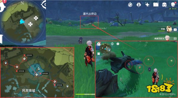 原神风车菊采集地点大全 风车菊采集分布图详细介绍