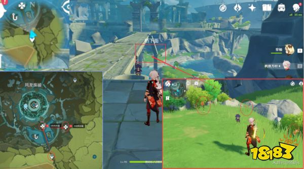 原神风车菊采集地点大全 风车菊采集分布图详细介绍