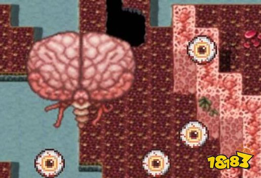 泰拉瑞亚克苏鲁之脑Boss详细打法攻略 打克苏鲁之脑方法技巧一览