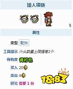 泰拉瑞亚召唤师毕业首饰有哪些 召唤师毕业首饰获取方法