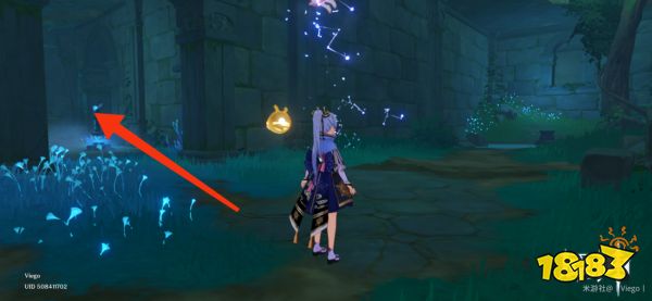 原神池中宅邸怎么解密 池中宅邸解密攻略大全