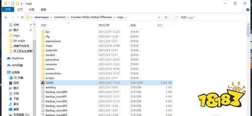 csgo官匹demo文件在哪里