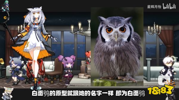 明日方舟角色的动物原型介绍 最详细角色动物原型科普