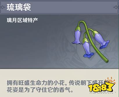 原神白术天赋材料有哪些 白术天赋材料清单一览