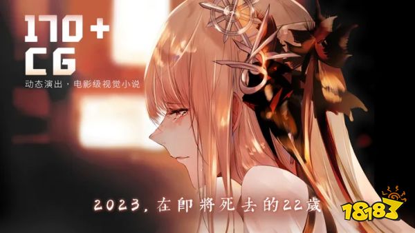 孟德大小姐与自爆少年下载