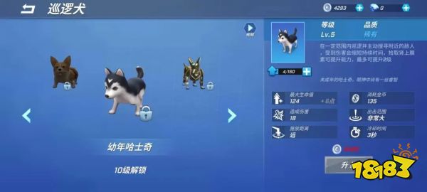 逃跑吧少年巡逻犬怎么玩 巡逻犬详细玩法分享