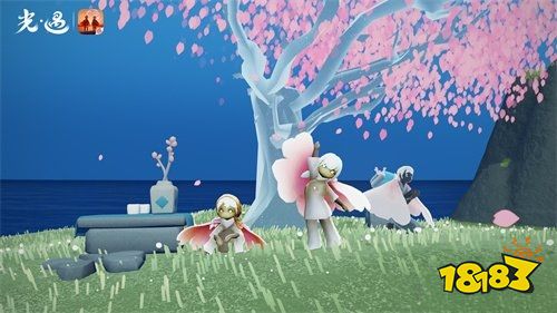 光遇花之日樱花花期时间表2023 花憩节樱花赏花指南大全