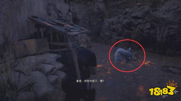 生化危机4重制版第二章村庄广场怎么过 第二章村庄广场全收集攻略