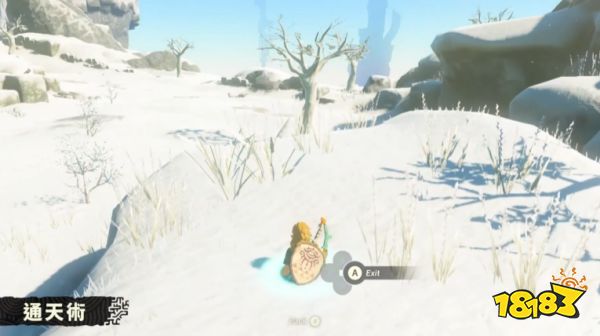 塞尔达传说王国之泪林克有哪些新技能 林克新技能介绍