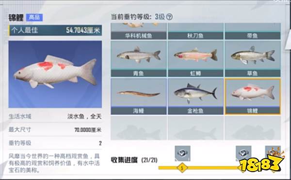 和平精英绿洲世界钓鱼全图鉴大全 全部可收集鱼类信息一览