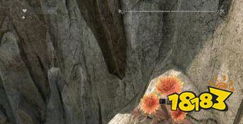 消逝的光芒植物大战僵尸彩蛋在哪 pvz彩蛋位置介绍