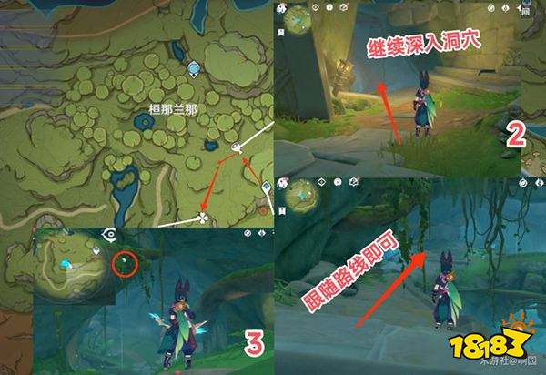 原神劫波莲在哪些地方可以获取 劫波莲详细购买采集路线图分享