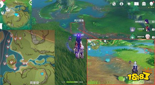 原神妮露角色全突破材料路线图大全 妮露材料详细收集位置一览