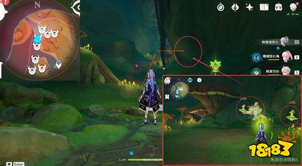 原神妮露角色全突破材料路线图大全 妮露材料详细收集位置一览