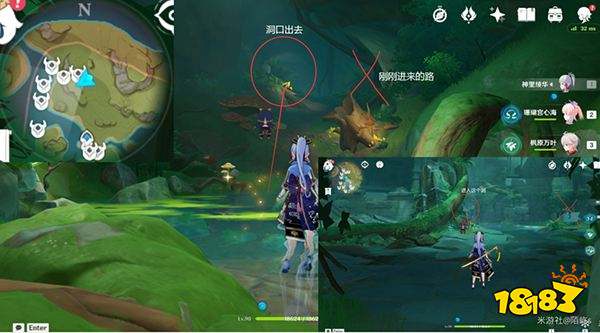 原神妮露角色全突破材料路线图大全 妮露材料详细收集位置一览