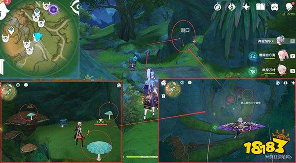 原神妮露角色全突破材料路线图大全 妮露材料详细收集位置一览