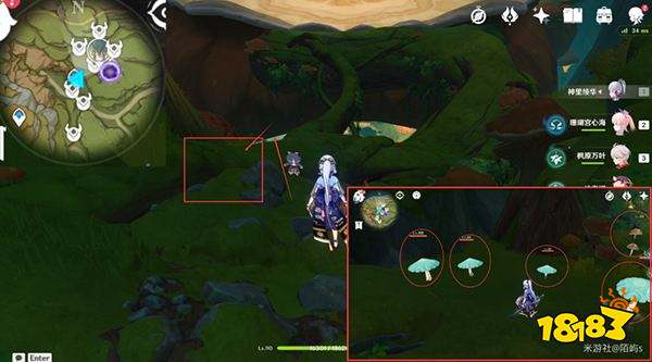 原神妮露角色全突破材料路线图大全 妮露材料详细收集位置一览