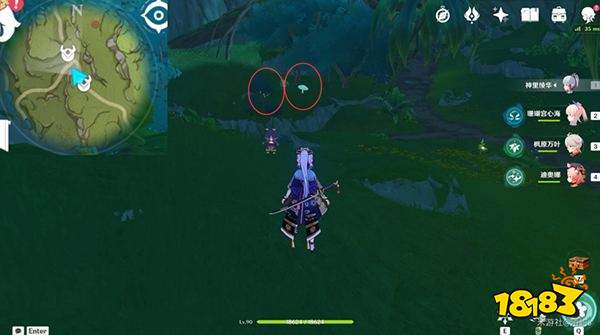 原神妮露角色全突破材料路线图大全 妮露材料详细收集位置一览