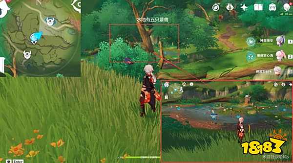 原神妮露角色全突破材料路线图大全 妮露材料详细收集位置一览