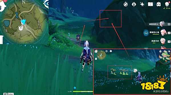 原神妮露角色全突破材料路线图大全 妮露材料详细收集位置一览