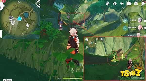 原神妮露角色全突破材料路线图大全 妮露材料详细收集位置一览