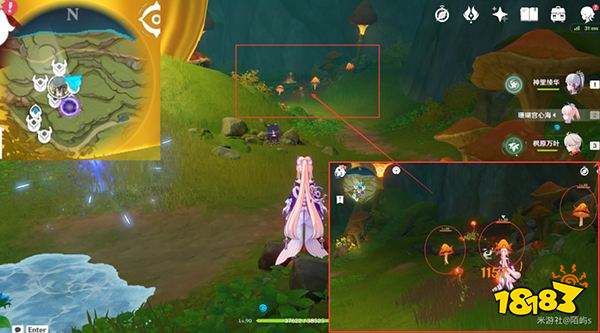 原神妮露角色全突破材料路线图大全 妮露材料详细收集位置一览