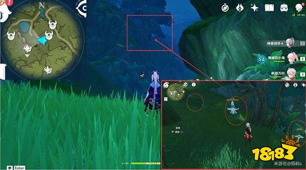 原神妮露角色全突破材料路线图大全 妮露材料详细收集位置一览